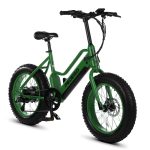 Electric Dirt Bike Rental near Me